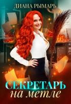 Секретарь на метле (СИ)